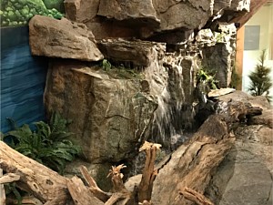 Water Features, Destin, FL